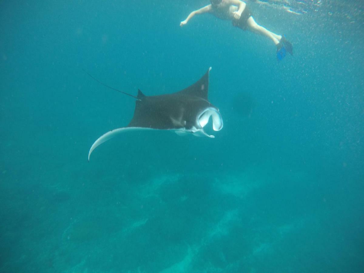 Sea Bridge Villa Ceningan Lembongan Εξωτερικό φωτογραφία